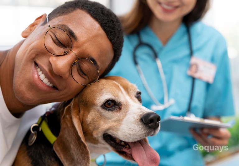 A happy dog sitting next to insurance documents and a laptop-1