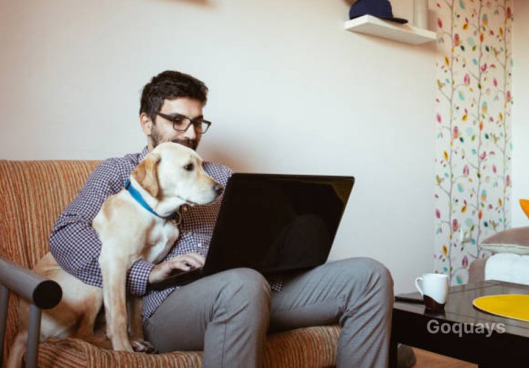 A person sitting at a desk with a laptop, comparing pet insurance options on the screen, while their happy dog sits beside them