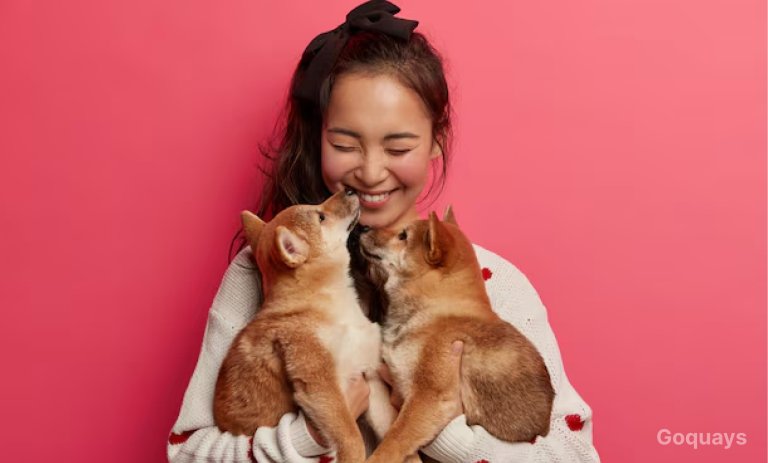 a happy pet with its owner – A cheerful dog or cat
