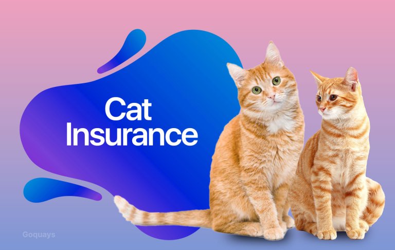 cat-insurance (1)