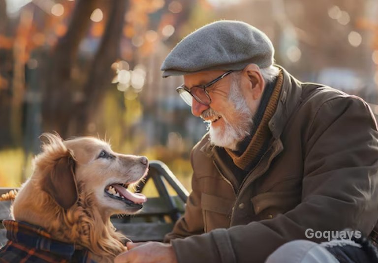 A heartwarming photo of a happy senior dog with graying fur sitting next to their owner