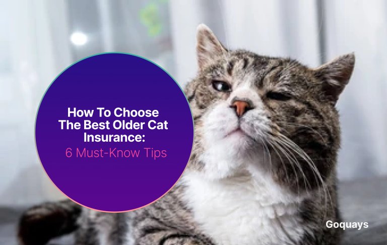 How to Choose the Best Older Cat Insurance