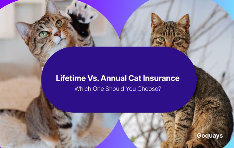 _Lifetime vs
