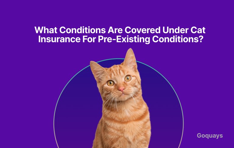 What Conditions Are Covered Under Cat Insurance for Pre-Existing Conditions_