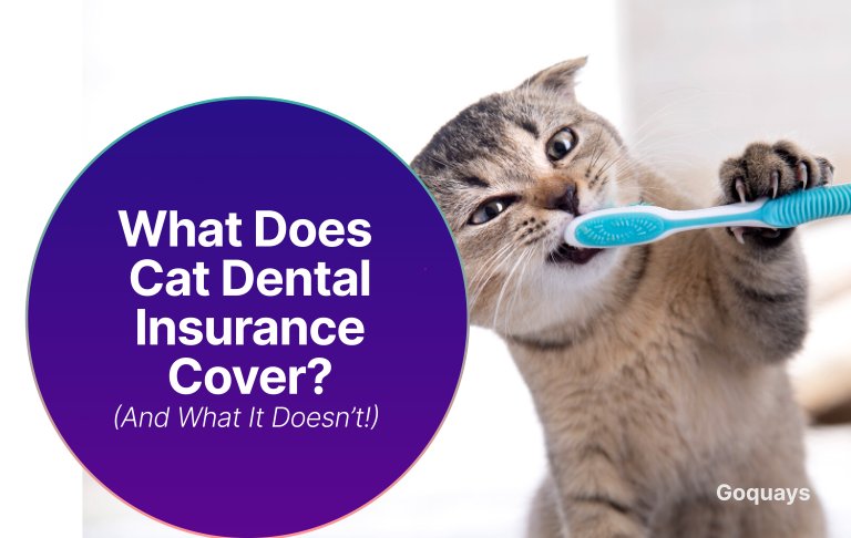 What Does Cat Dental Insurance Cover_
