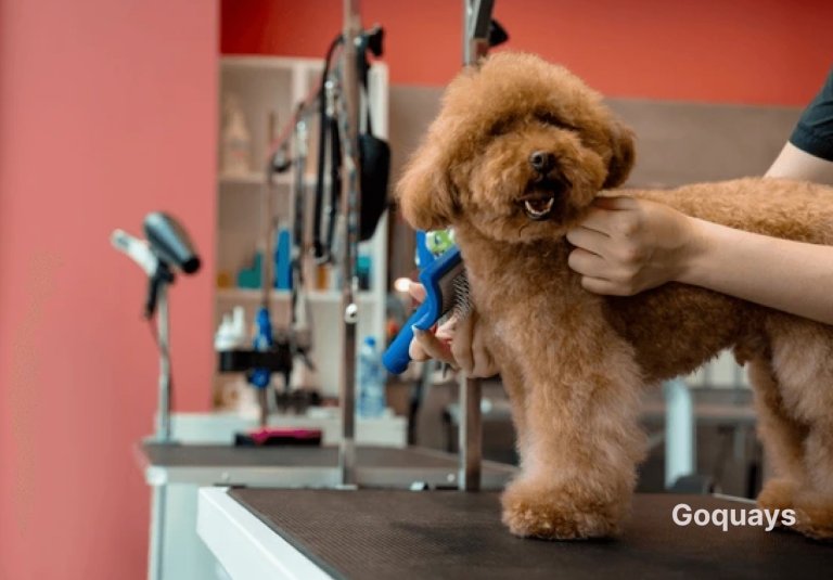dog groomer in a well-lit grooming salon, carefully trimming a fluffy dog's fur