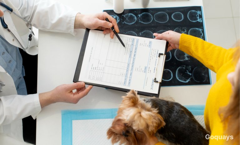 Emergency Vet Bills