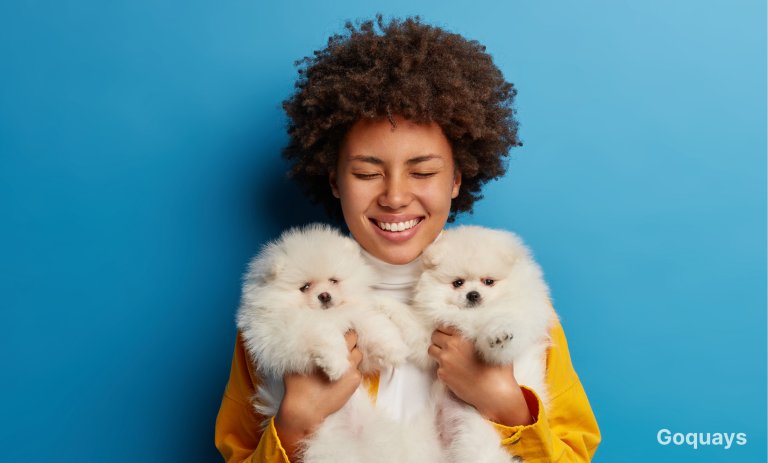 Multi Pet Insurance